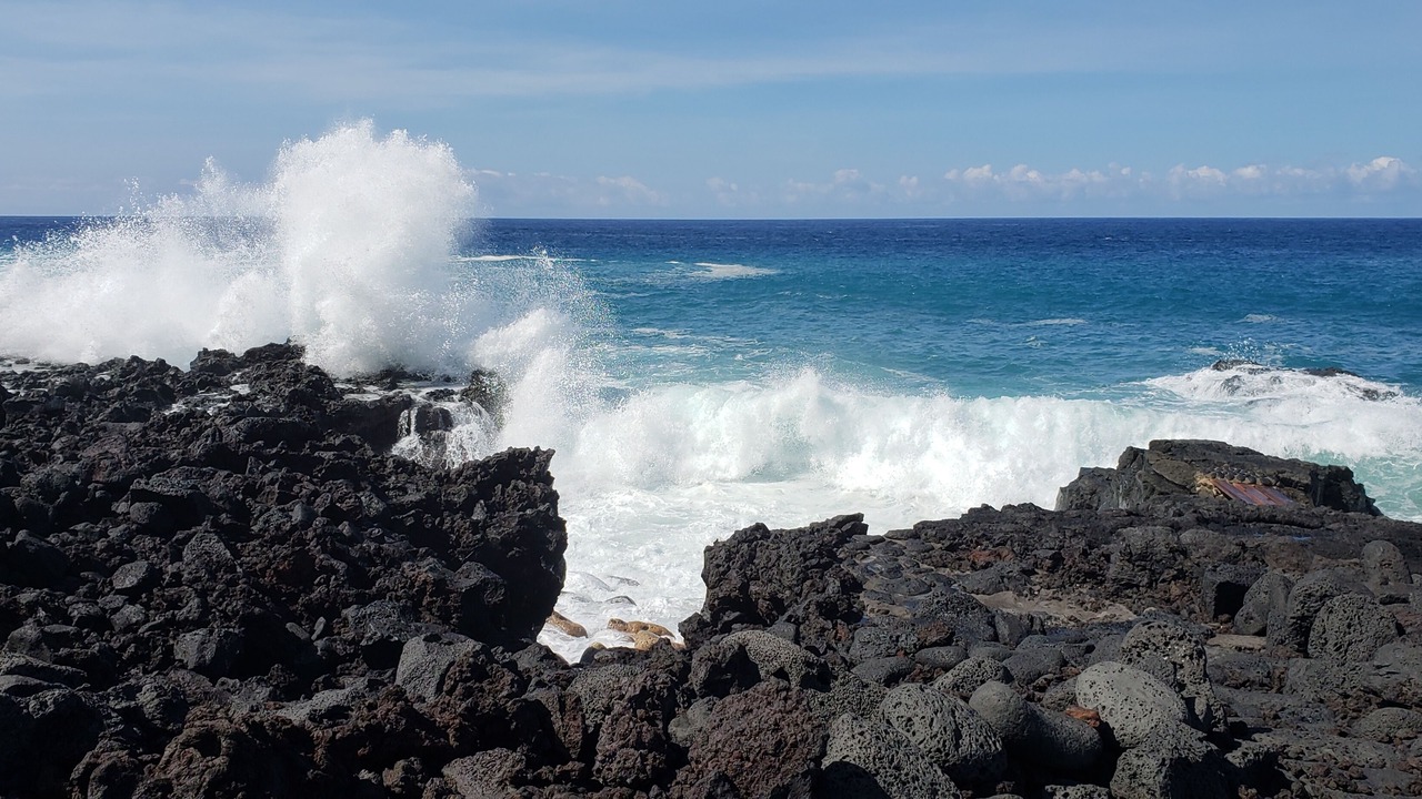 Photo of Others in Captain Cook