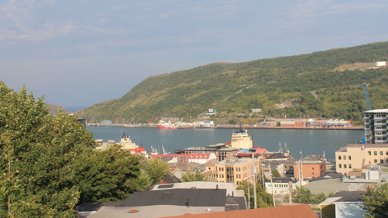 Photo of Others in Downtown St. John's