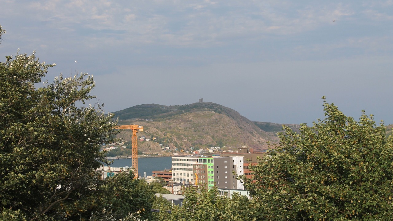 Photo of Others in Downtown St. John's