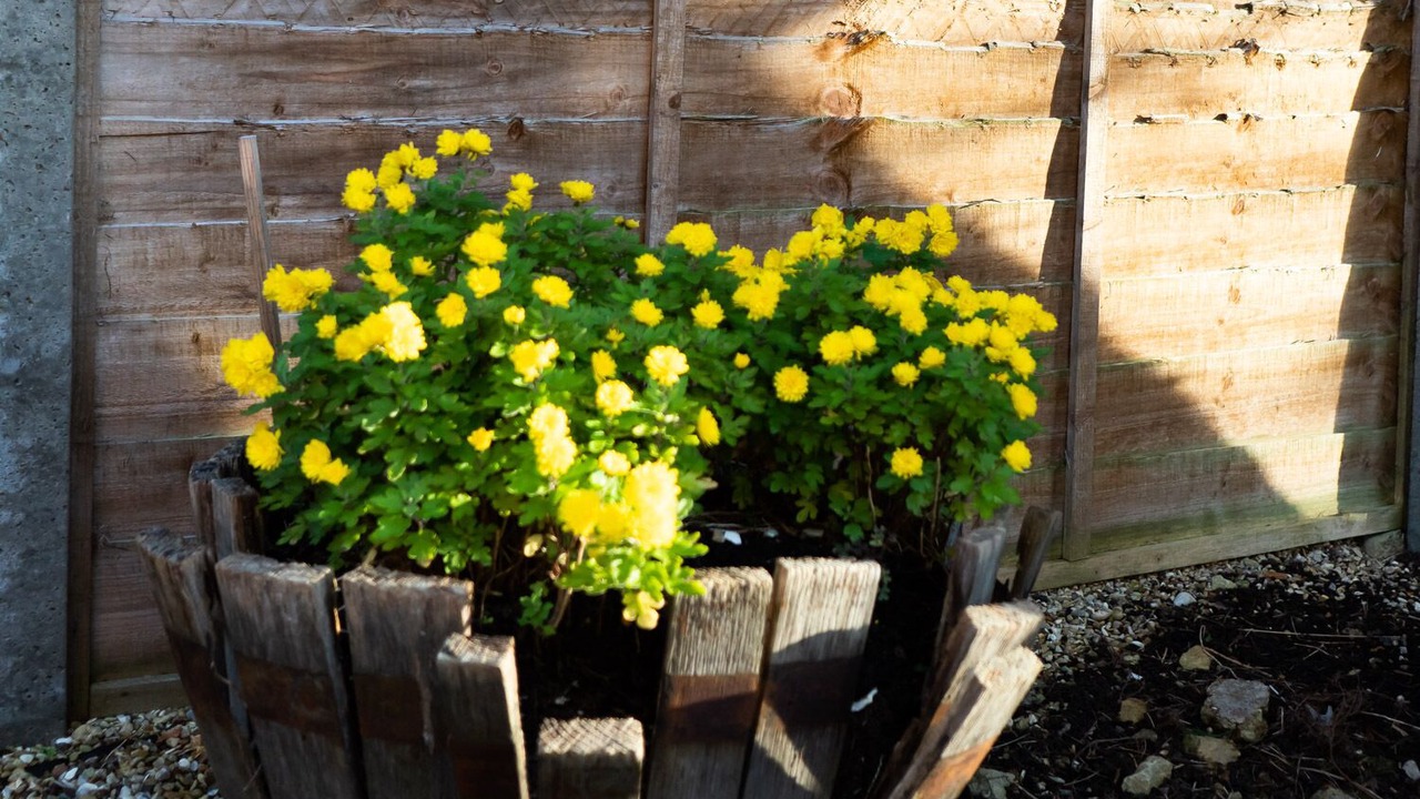 Photo of Outdoor in Thrapston