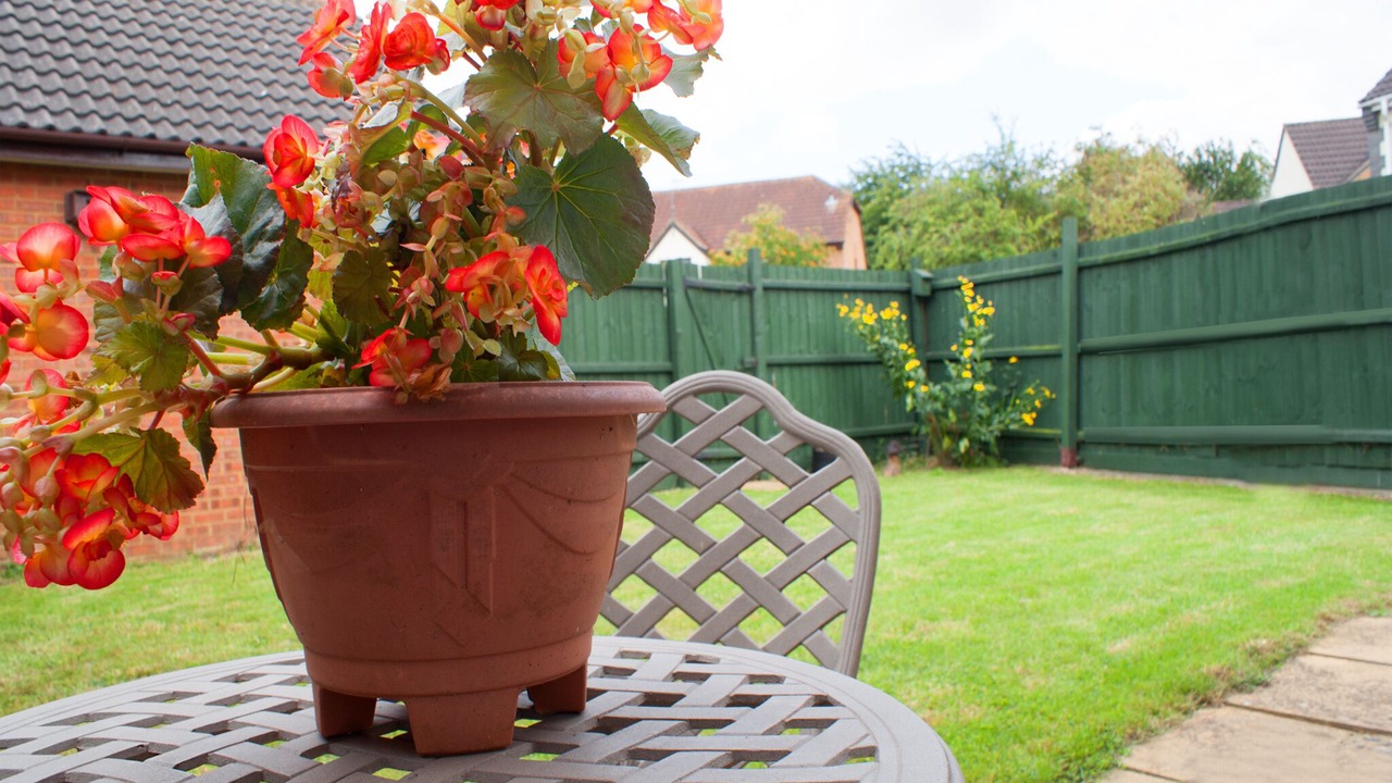 Photo of Outdoor in Thrapston