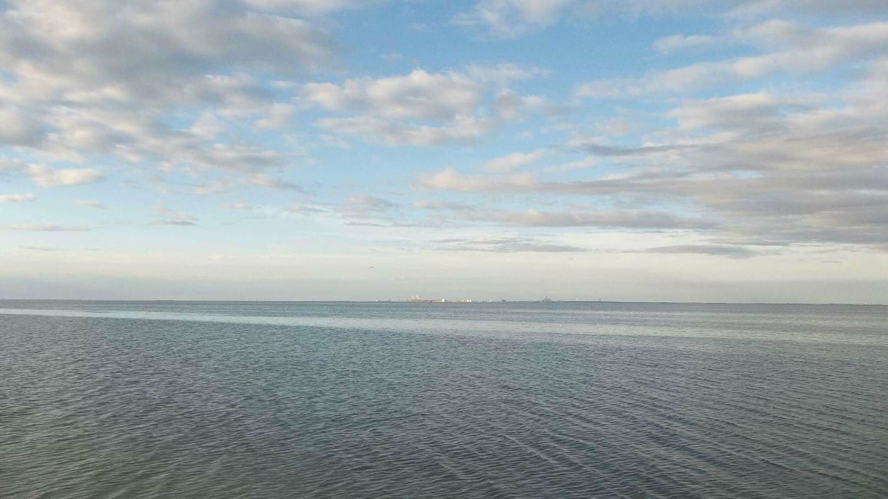 Photo of Others in Port Lavaca