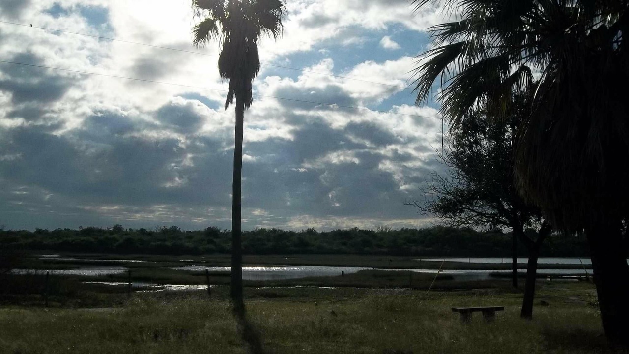 Photo of Others in Port Lavaca