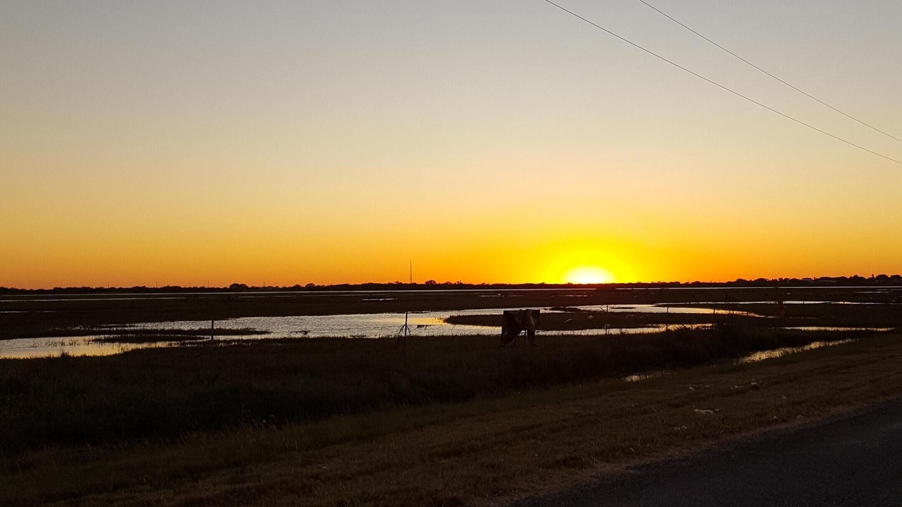 Photo of Others in Port Lavaca