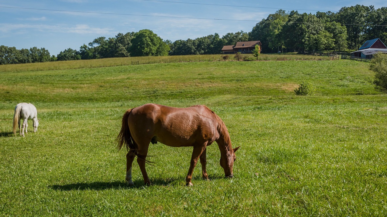 Photo of Others in Huntsville
