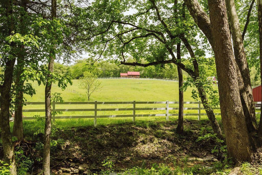 Photo of Outdoor in Huntsville