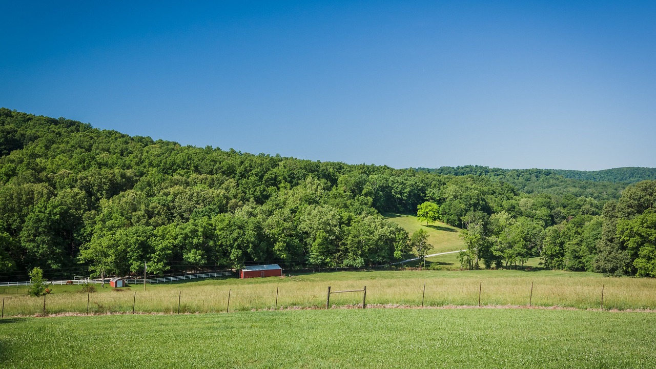 Photo of Others in Huntsville