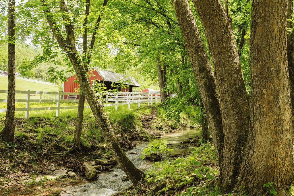 Photo of Outdoor in Huntsville