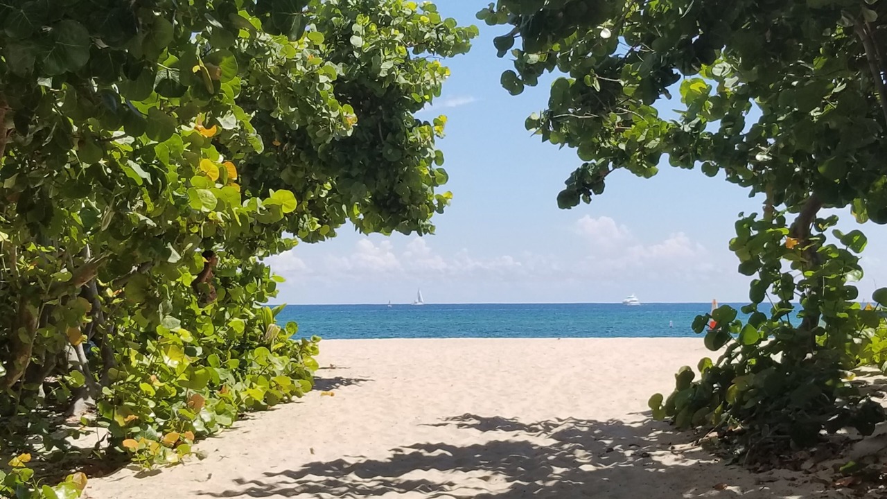 Photo of Others in Pompano Beach