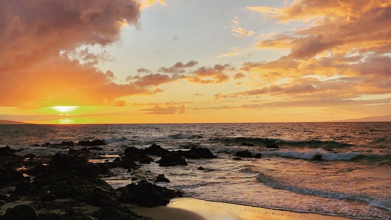 Photo of Others in Wailea