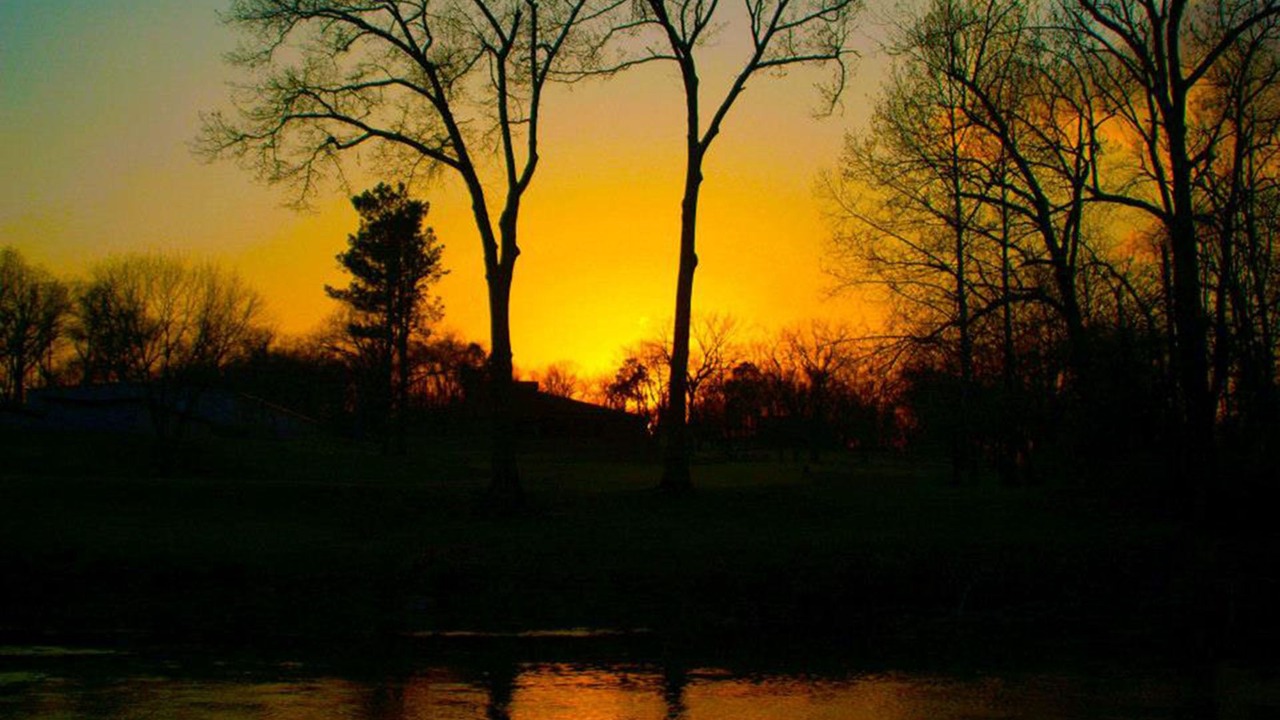 Photo of Others in Cherokee Village
