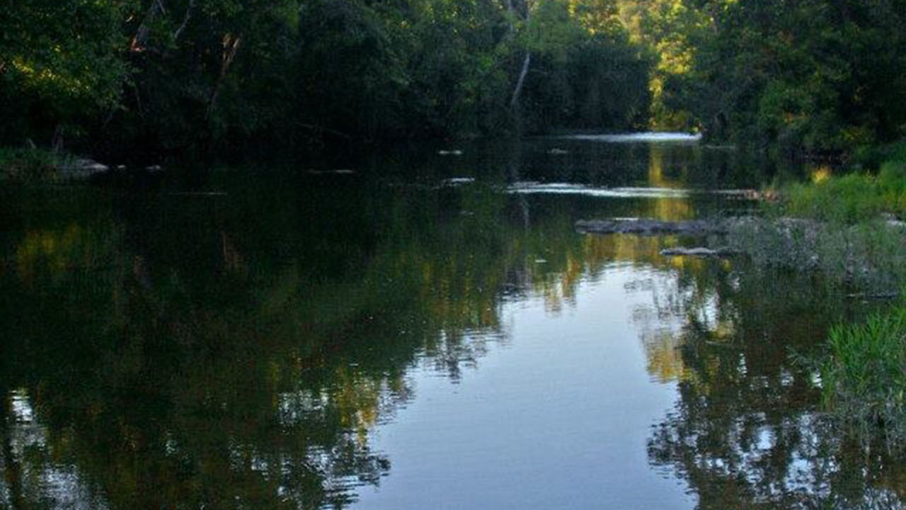 Photo of Others in Cherokee Village
