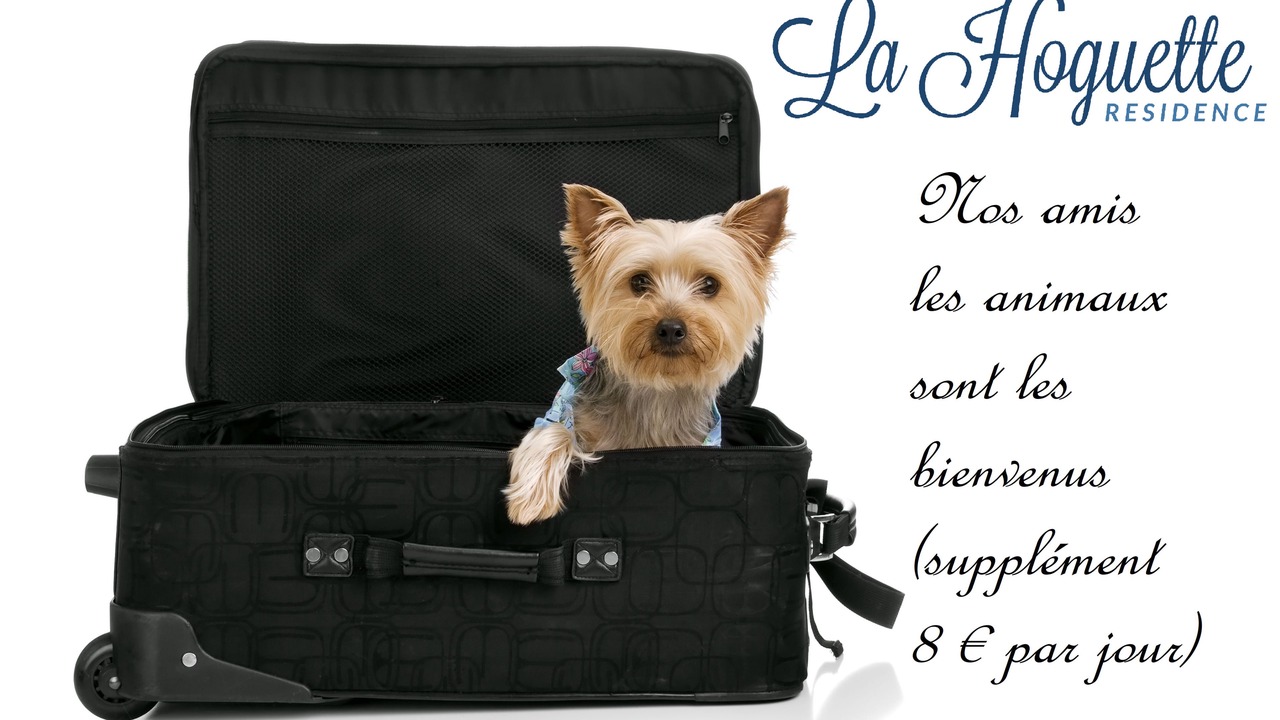 Photo of Others in Courtoisville-Sillon-Moka