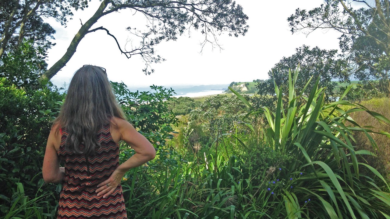 Photo of Outdoor in Waiotahi