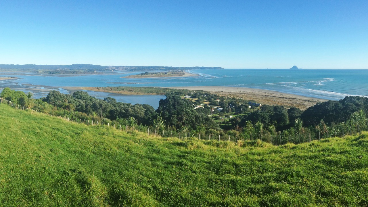 Photo of Others in Waiotahi