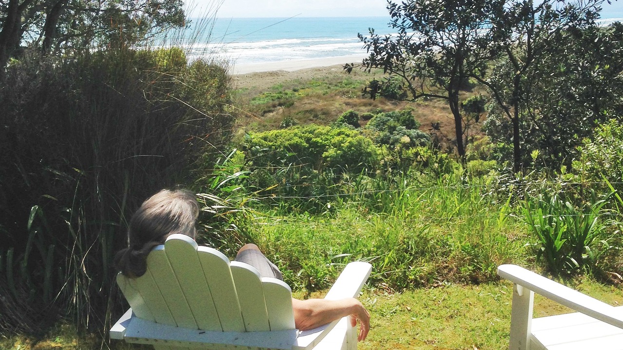 Photo of Outdoor in Waiotahi