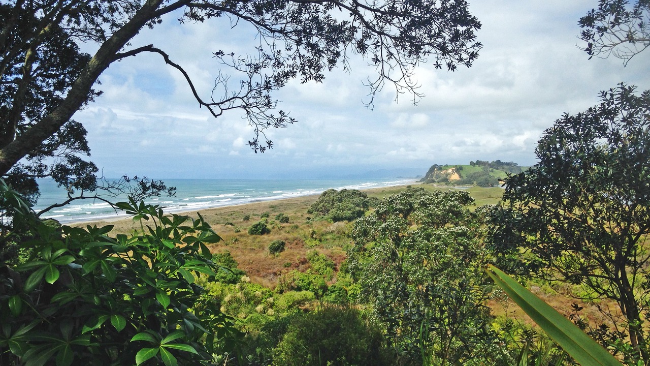 Photo of Others in Waiotahi