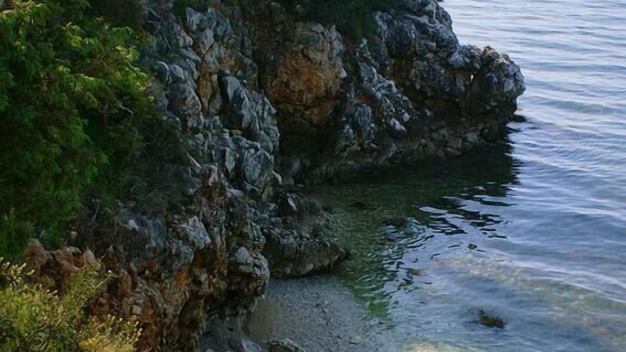 Photo of Others in Podaca