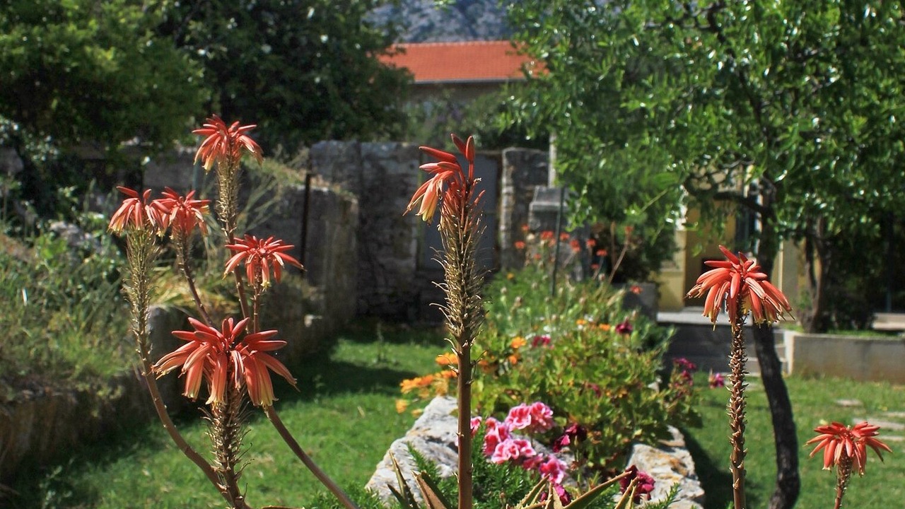 Photo of Outdoor in Orebic