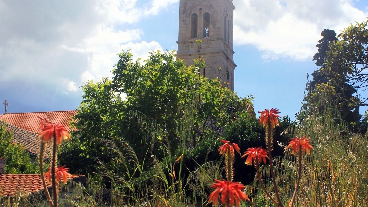 Photo of Outdoor in Orebic