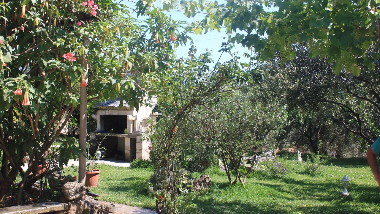 Photo of Outdoor in Stankovici
