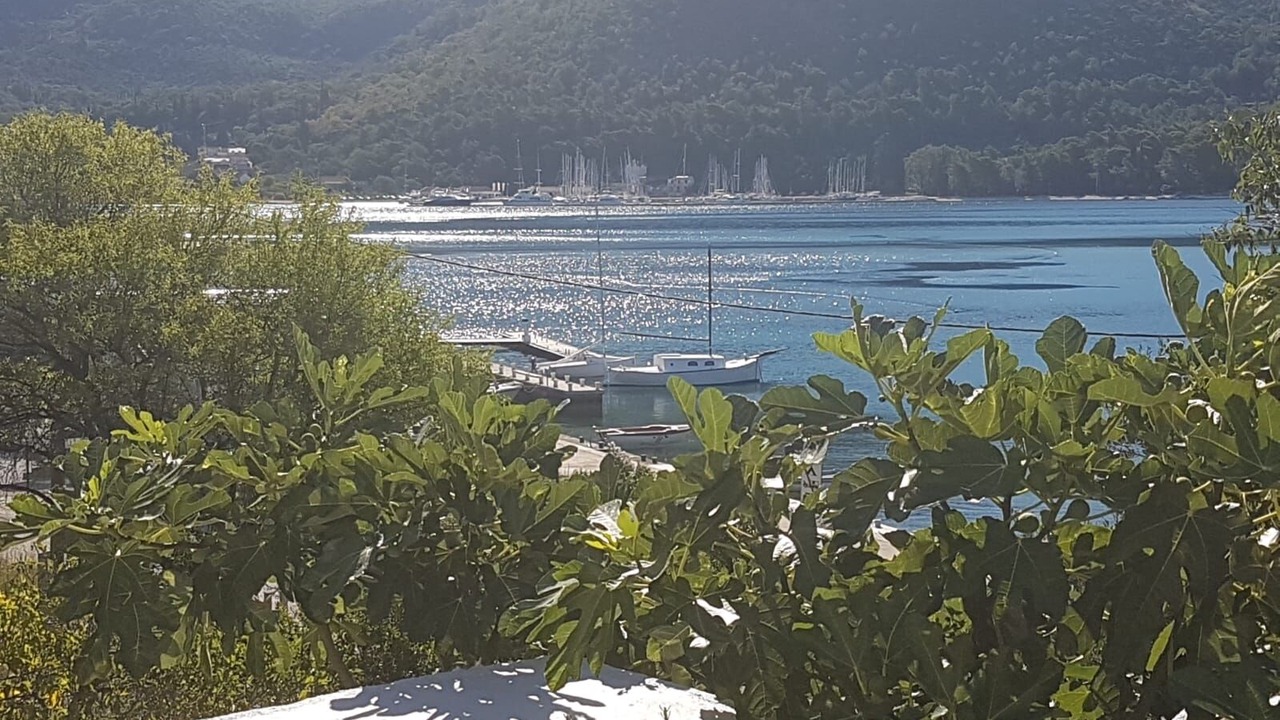 Photo of Others in Slano