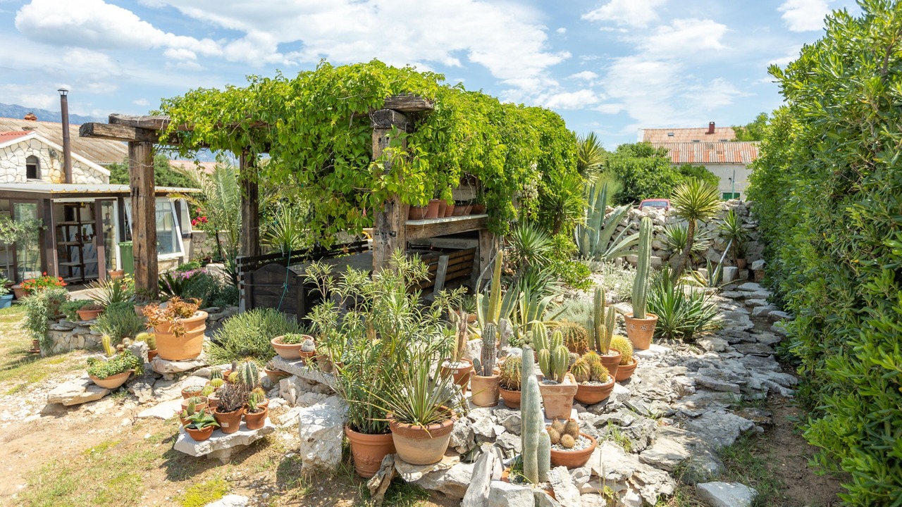 Photo of Outdoor in Razanac