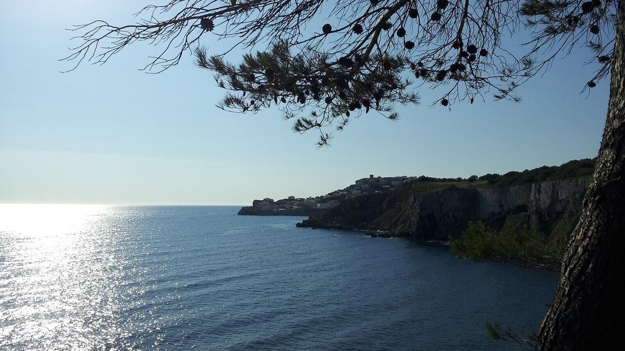Photo of Others in Torroella de Montgri