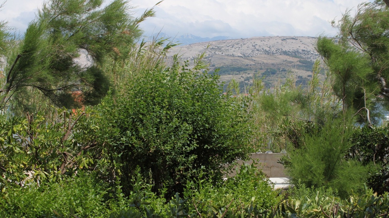 Photo of Others in Pag