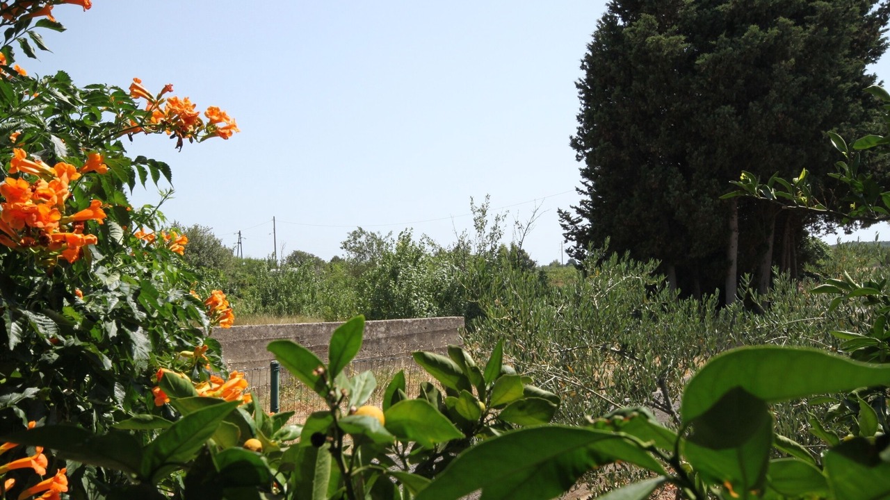 Photo of Outdoor in Muline