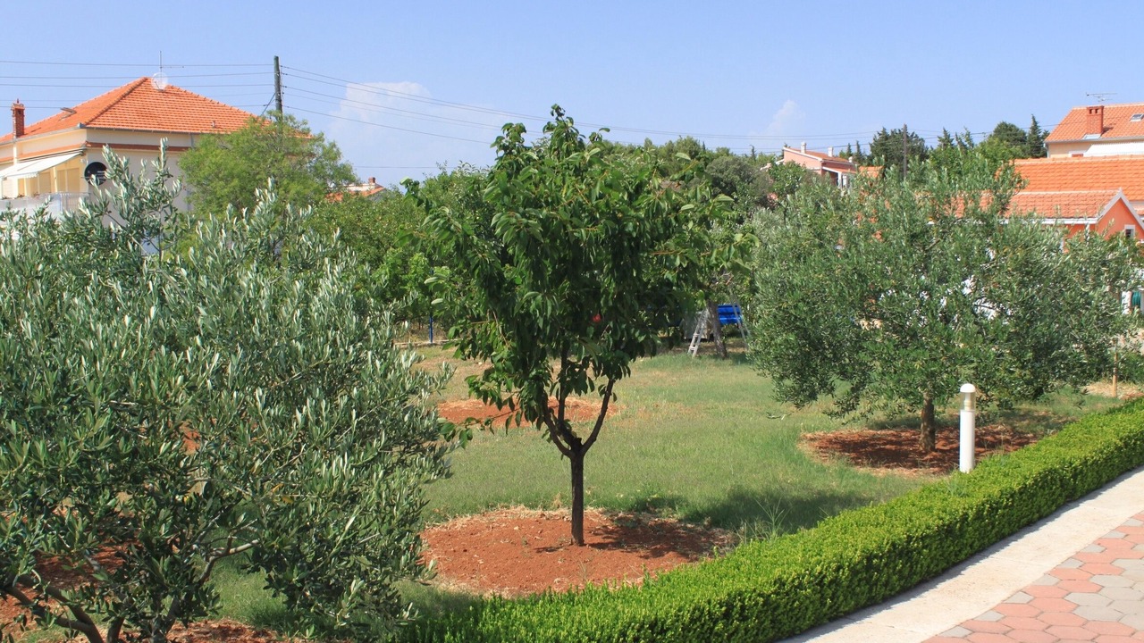 Photo of Outdoor in Muline