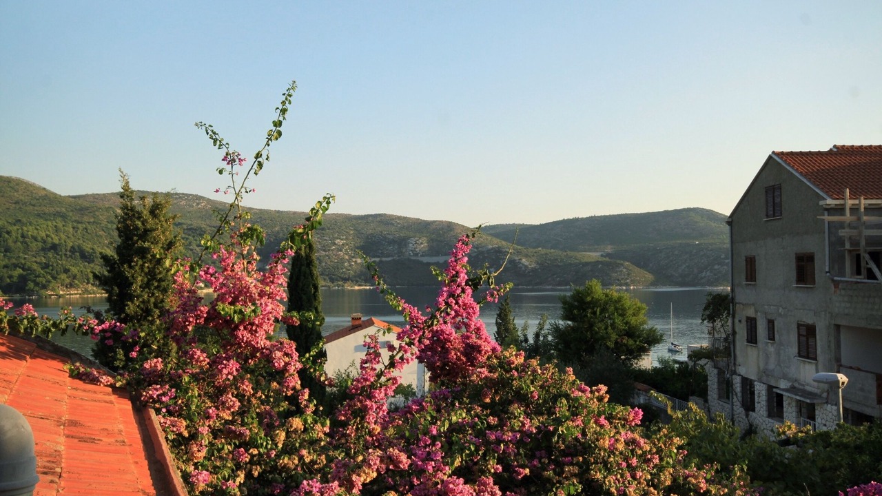Photo of Others in Slano