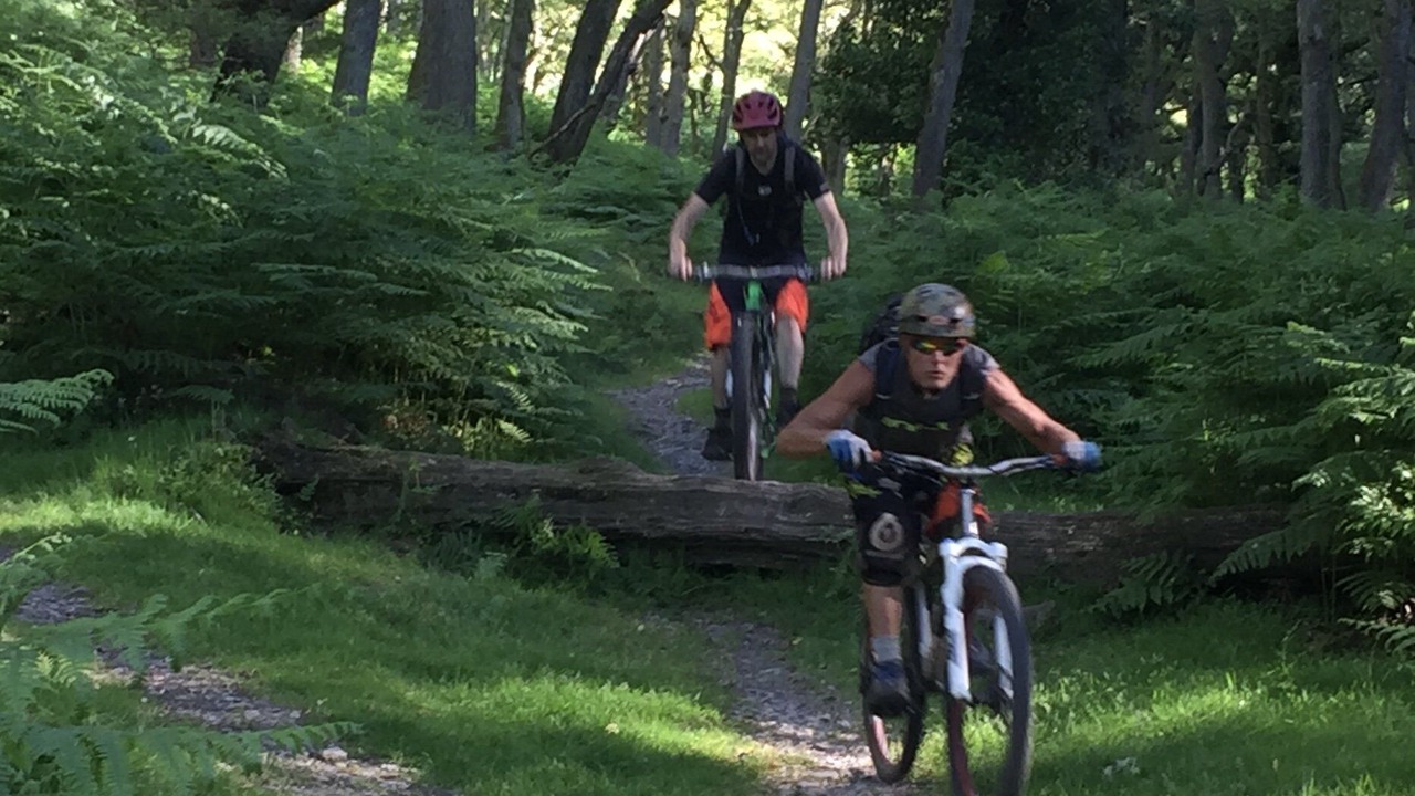 Photo of Others in Old Cleeve