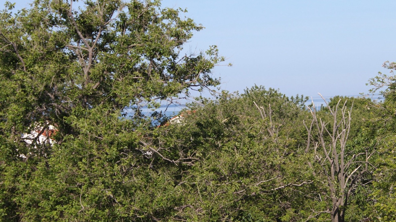 Photo of Others in Povljana