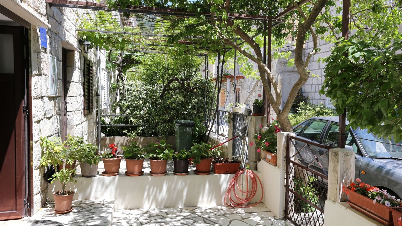 Photo of Others in Trstenik