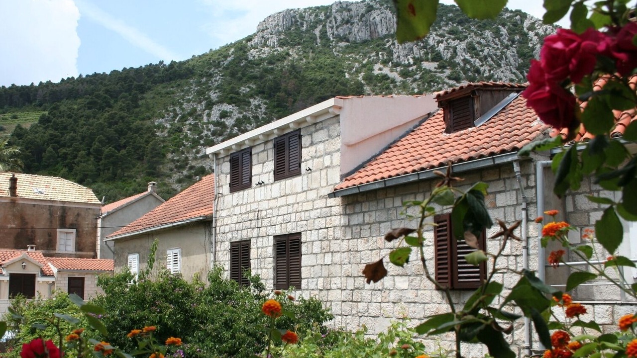 Photo of Outdoor in Trstenik