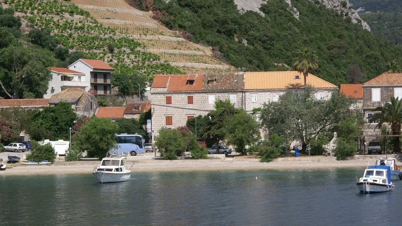 Photo of Outdoor in Trstenik