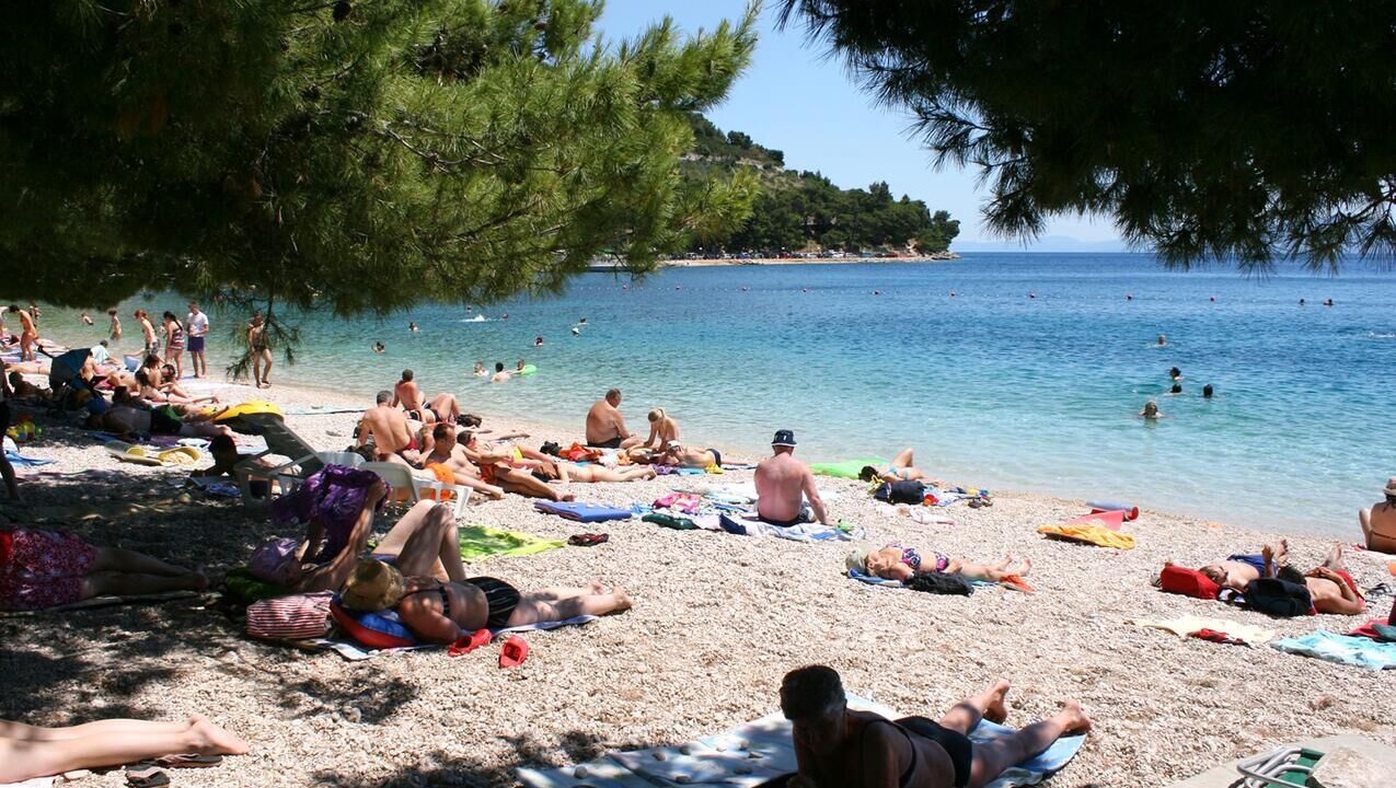 Photo of Others in Podaca