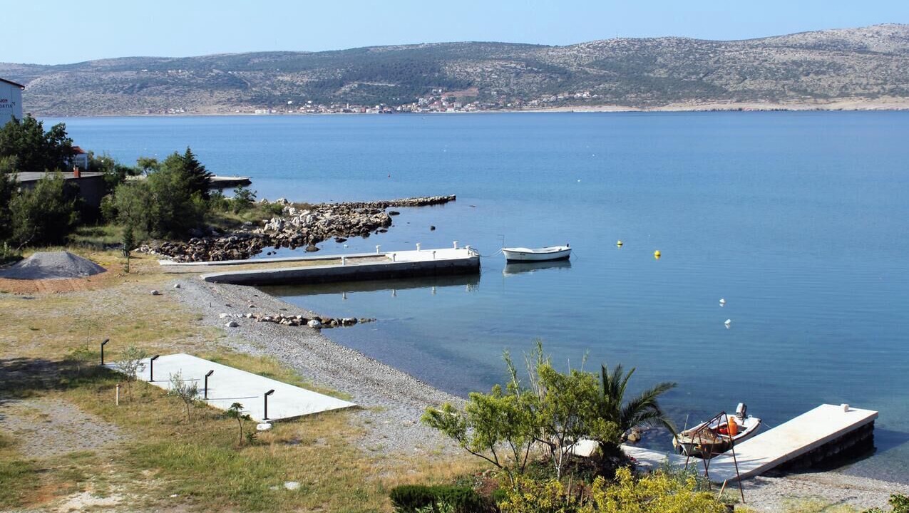 Photo of Others in Seline