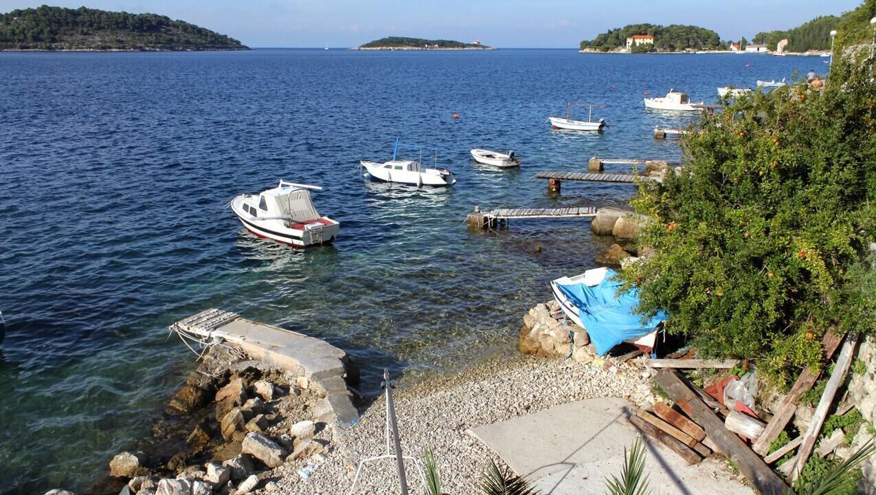 Photo of Others in Vis