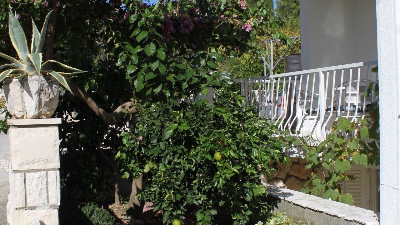 Photo of Outdoor in Slano