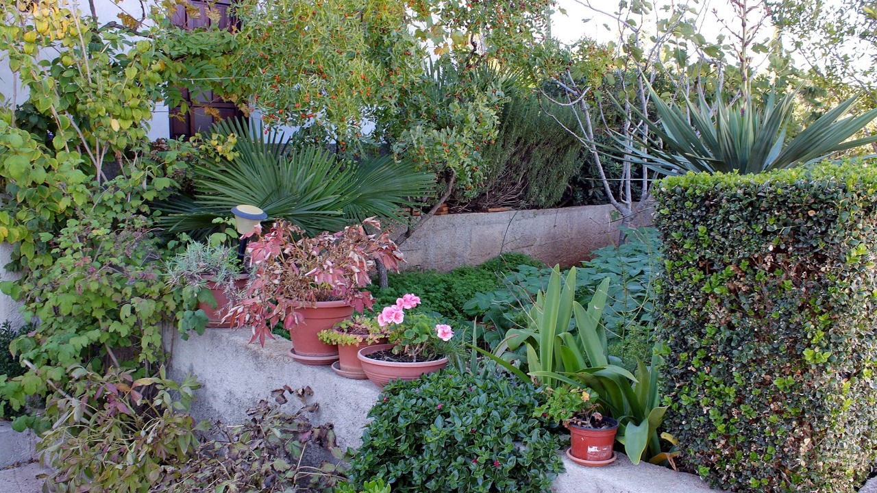 Photo of Outdoor in Kali