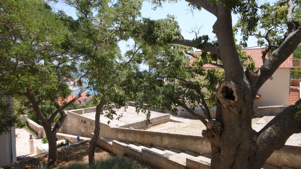 Photo of Others in Island Dugi Otok