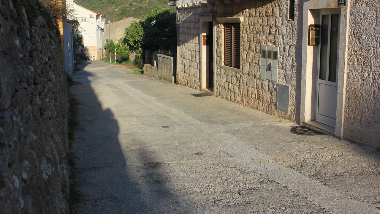 Photo of Others in Vis