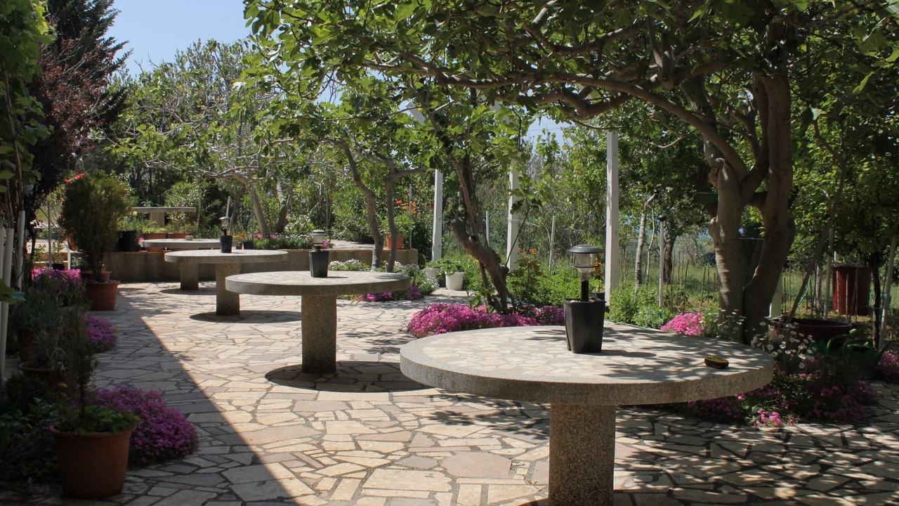 Photo of Outdoor in Povljana