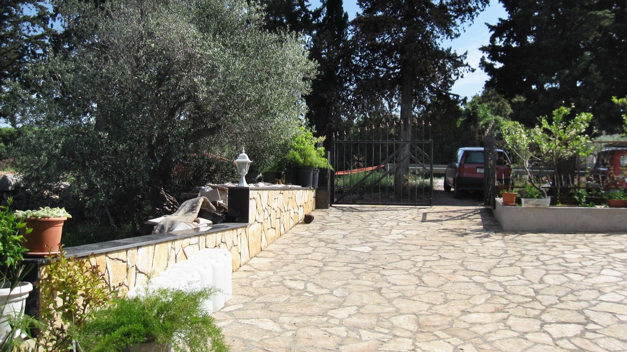 Photo of Others in Mirce