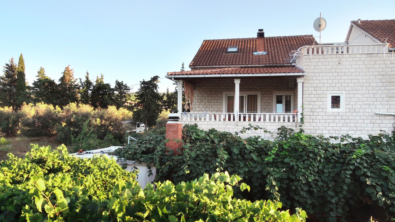 Photo of Outdoor in Mirce