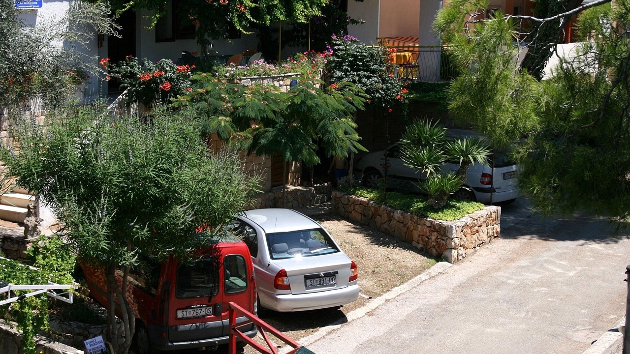 Photo of Others in Ivan Dolac