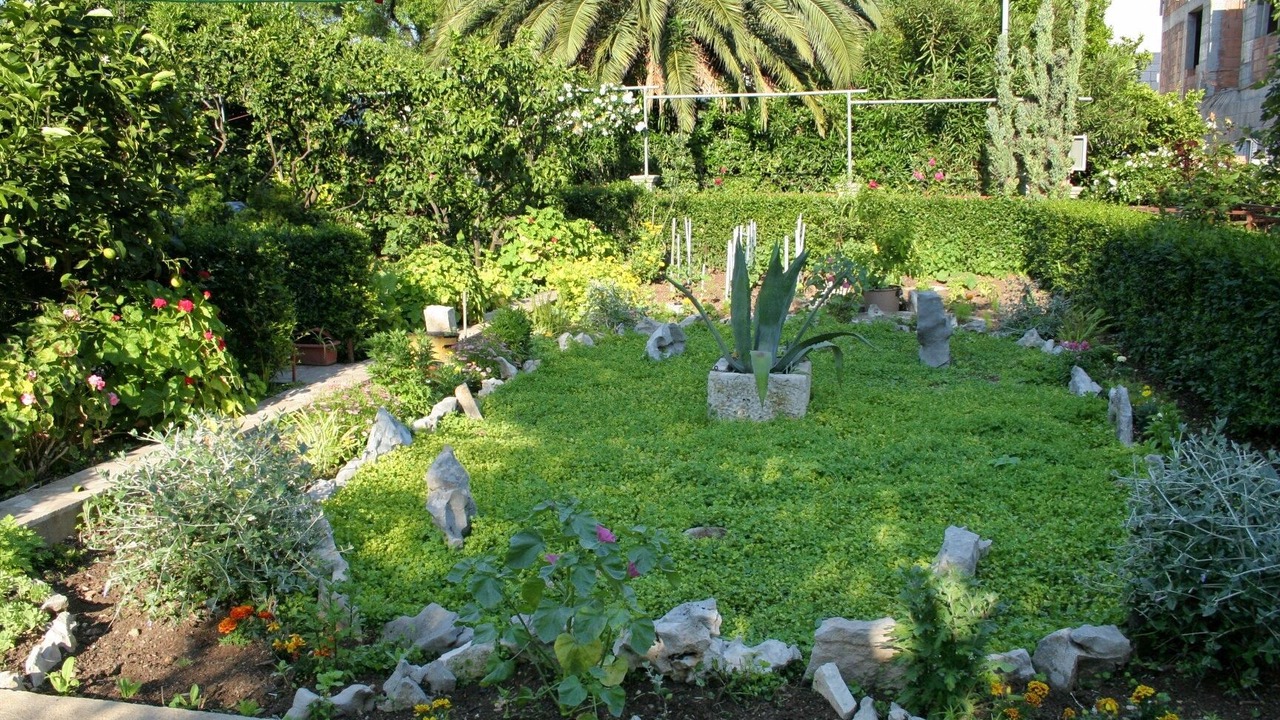 Photo of Outdoor in Orebic