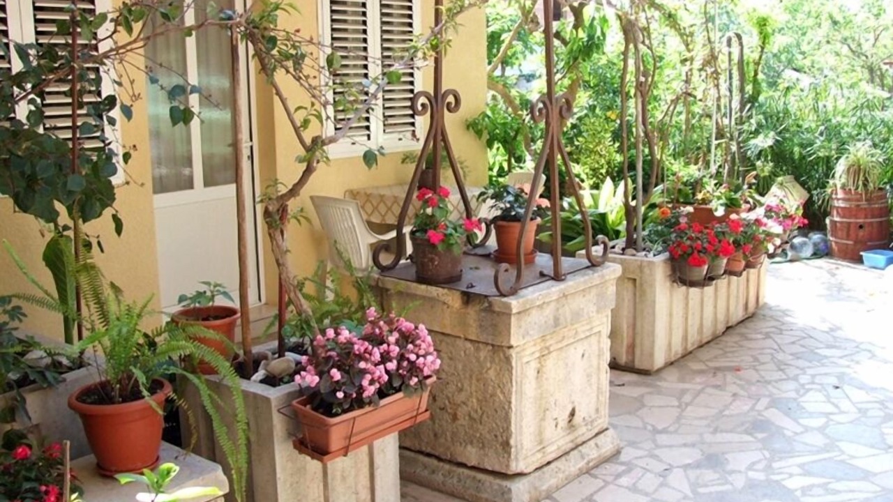 Photo of Outdoor in Orebic